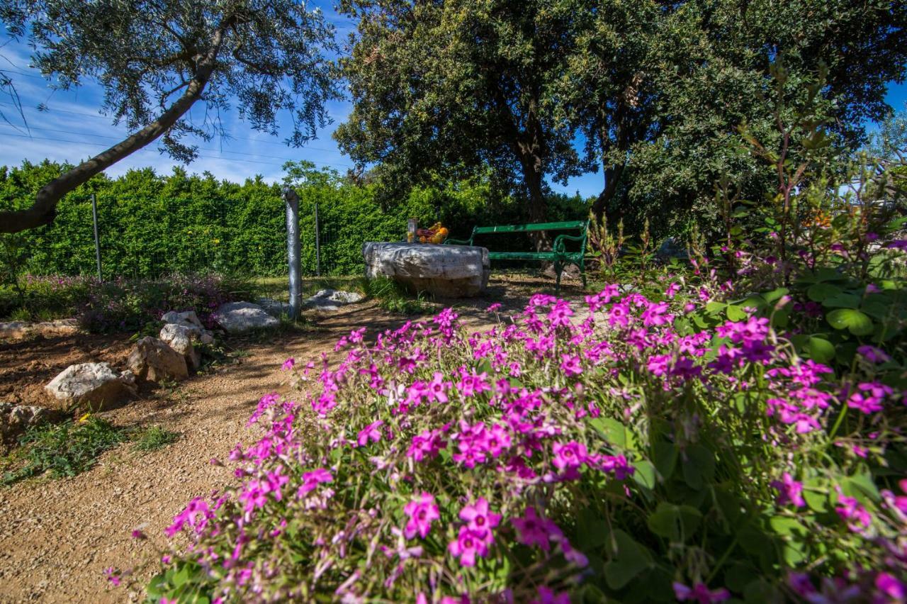 Holiday House Cvita Biograd Na Moru Bagian luar foto